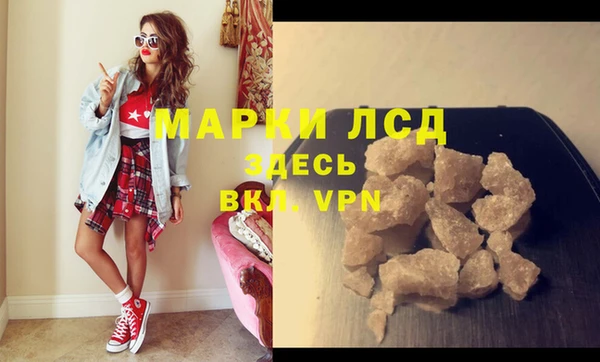 трава Бердск