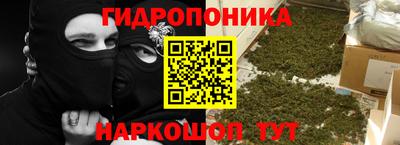 гашик Будённовск