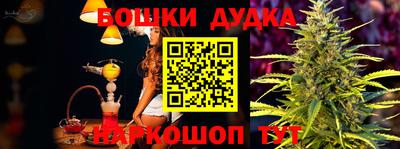 гашик Будённовск