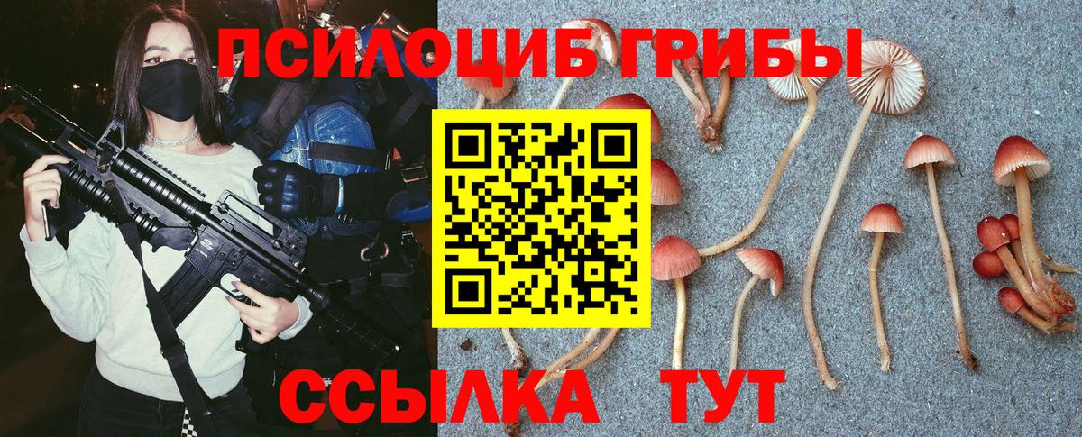 Галлюциногенные грибы ЛСД  Заволжье 