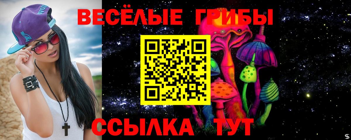 Псилоцибиновые грибы Psilocybe Заволжье