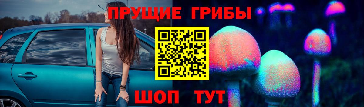 Заволжье  Псилоцибиновые грибы Psilocybe  закладки  Вход с VPN  Галлюциногенные грибы Magic Shrooms 